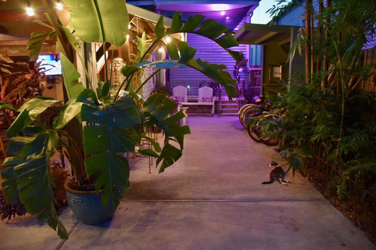 The Dragonfly Treme Guest House New Orleans Exterior photo