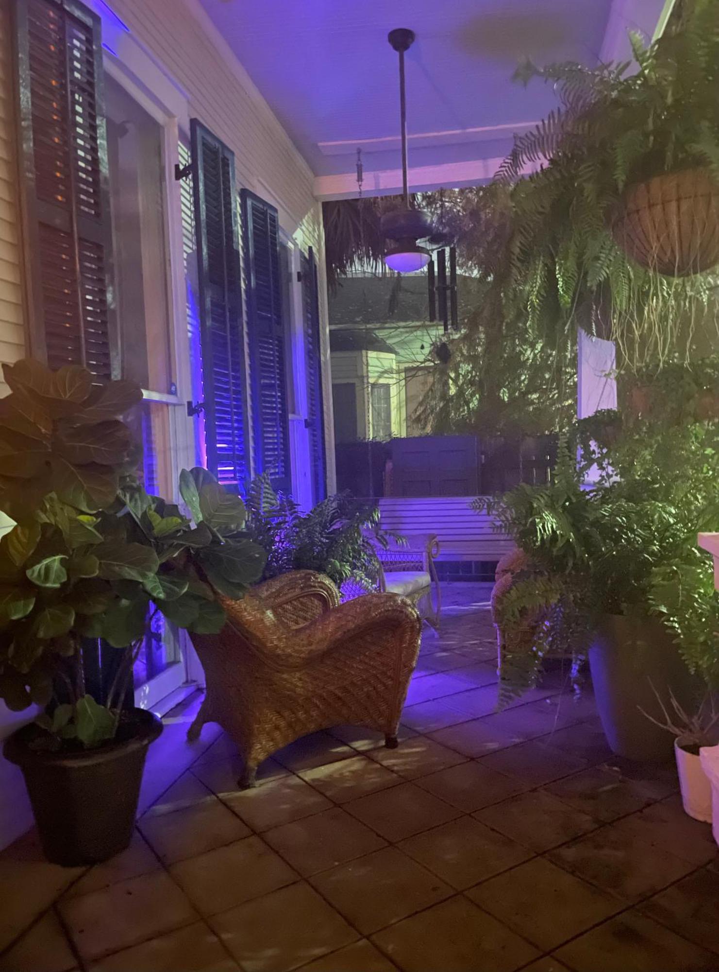 The Dragonfly Treme Guest House New Orleans Exterior photo