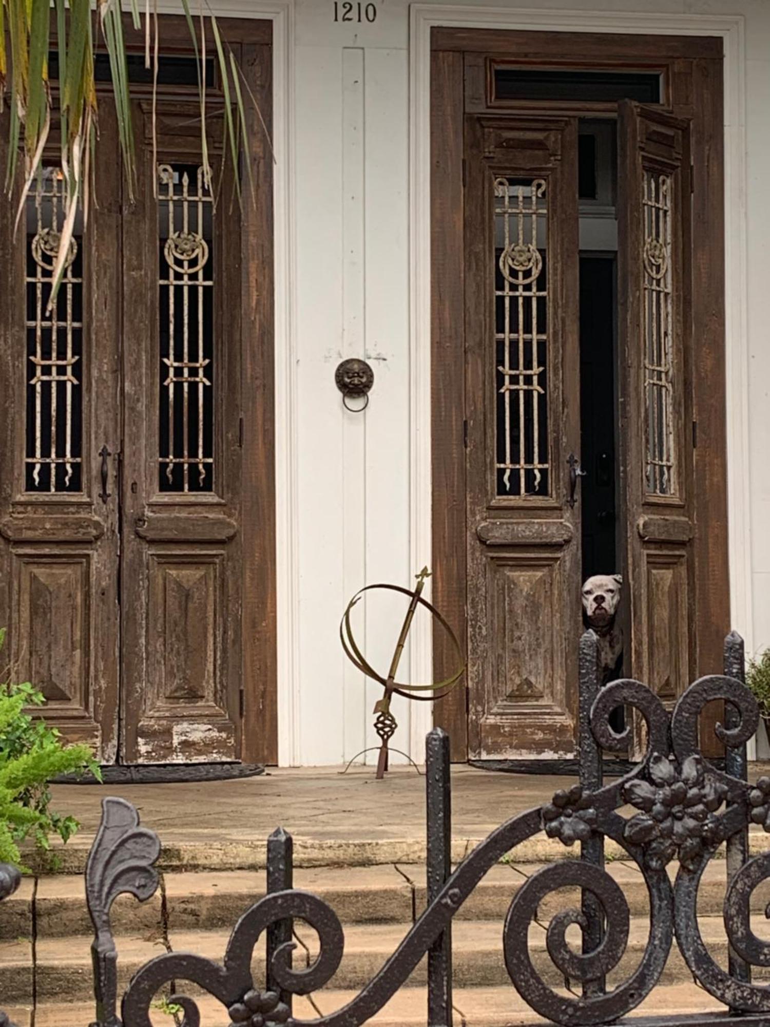 The Dragonfly Treme Guest House New Orleans Exterior photo