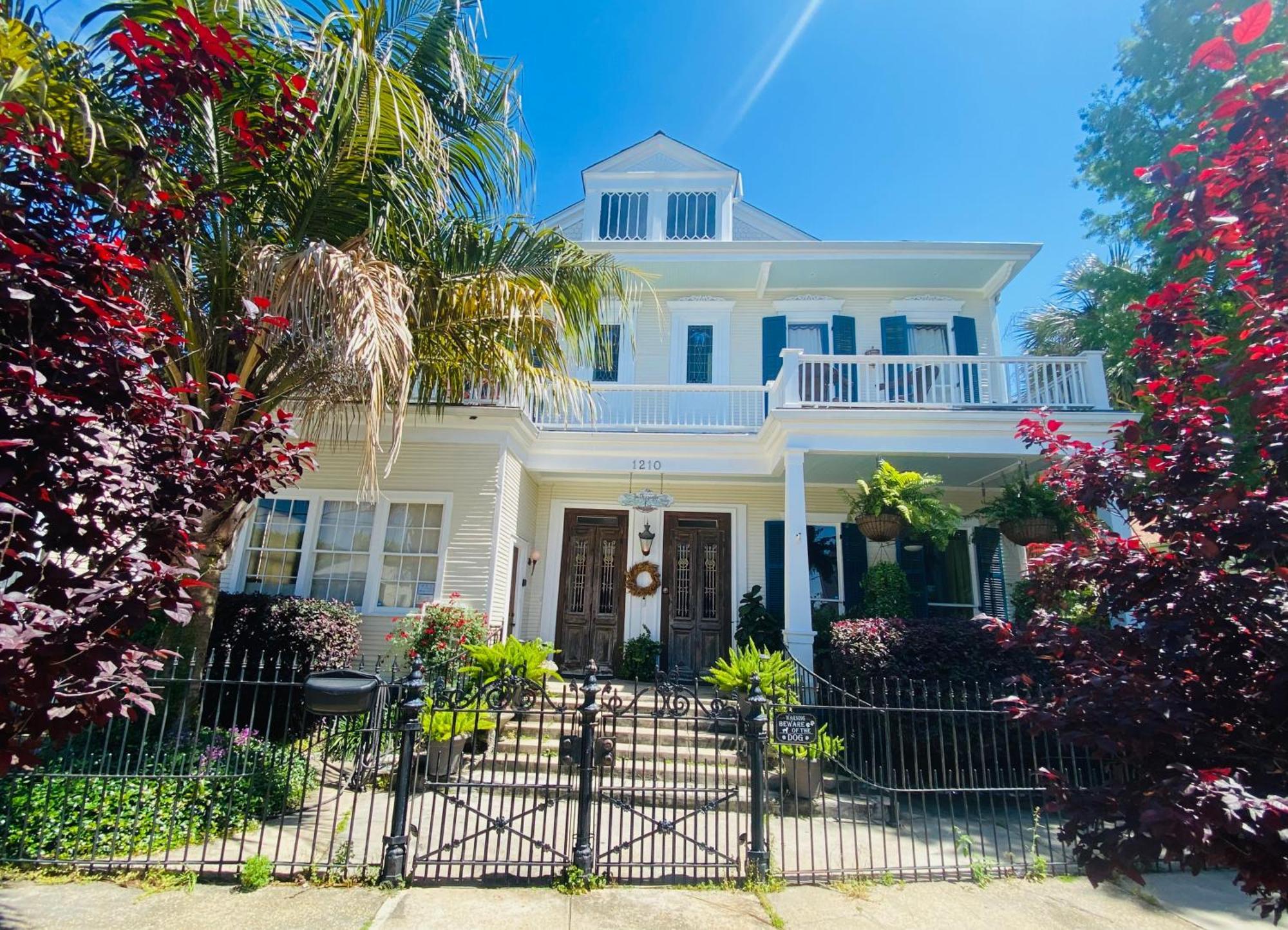 The Dragonfly Treme Guest House New Orleans Exterior photo