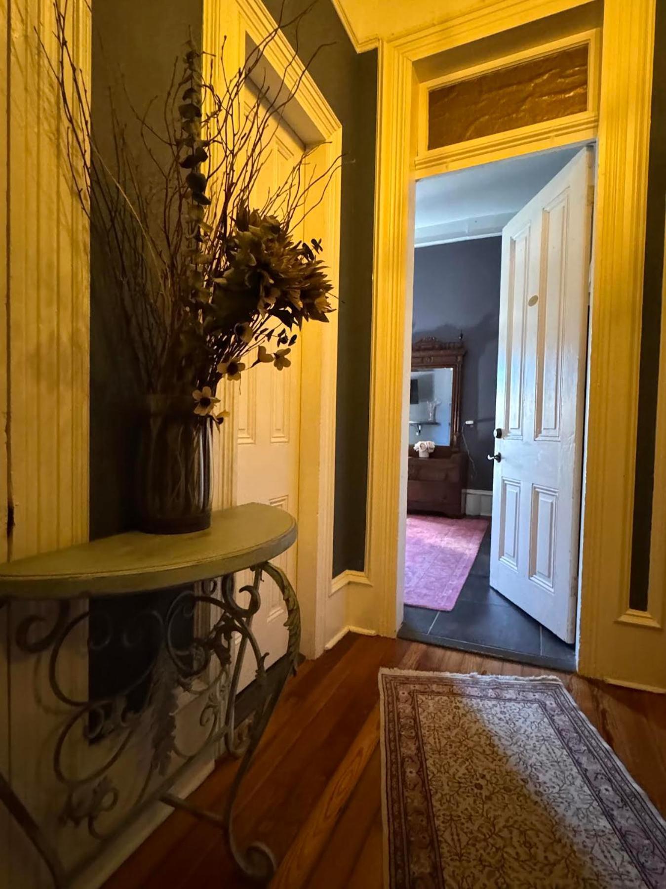 The Dragonfly Treme Guest House New Orleans Exterior photo
