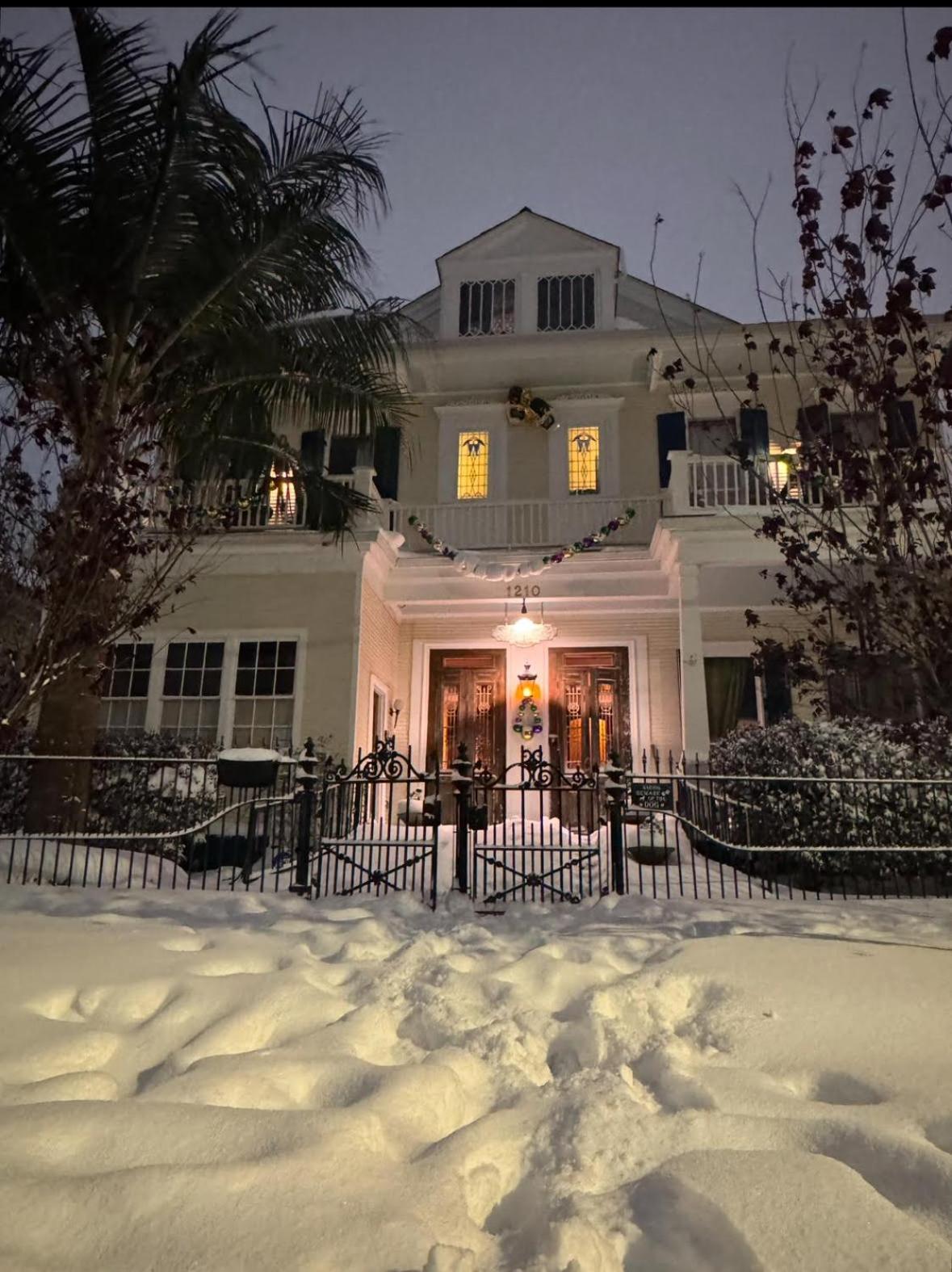 The Dragonfly Treme Guest House New Orleans Exterior photo